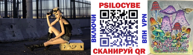 Псилоцибиновые грибы Psilocybe Купить закладки Рязань